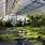 Botanischer-Garten-Chemnitz