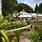 Botanischer-Garten-Dresden