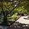 Botanischer-Garten-Mã¼Nchen