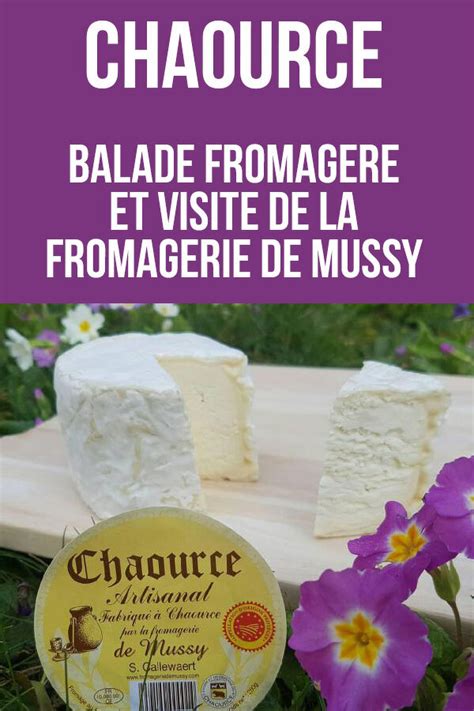 Boucherie à Chaource