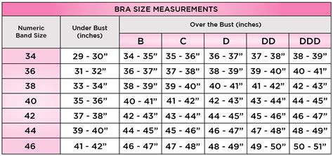 Bra Size Measurement Chart