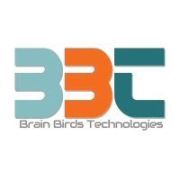 Brain Birds Technologies | Web Development in Mohali