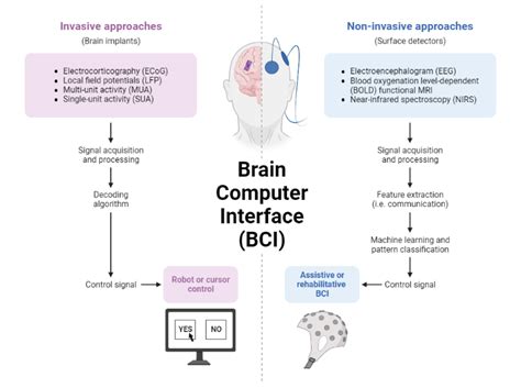 Brain Computer Interface Career