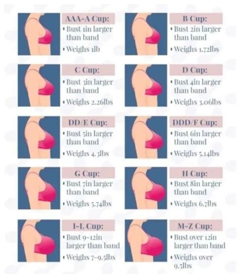 Breast Size Cups Chart
