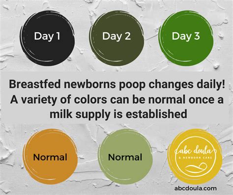 Breastfed Newborn Poop Chart