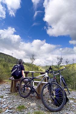 Brechfa Forest Bikes