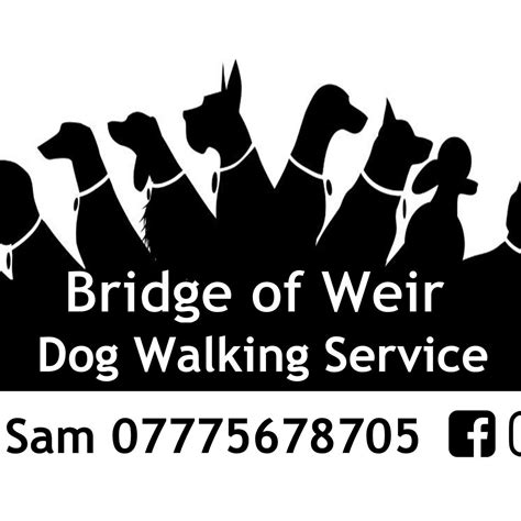 Bridge of Weir Dog Walking Services