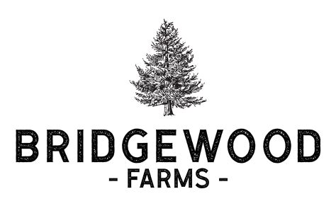 Bridgewood & Neitzert Ltd