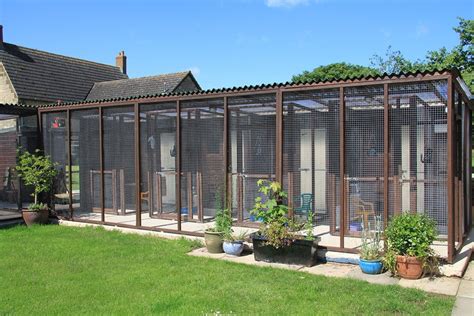 Bridleway Boarding Cattery.