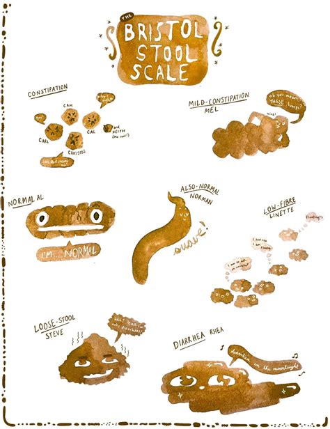 Bristol Stool Chart Kids