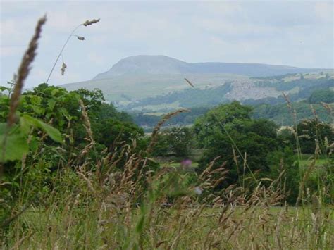 Brocklands Woodlands Burial