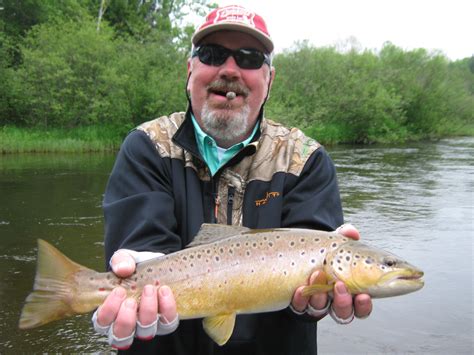 Brown Trout Manistee River
