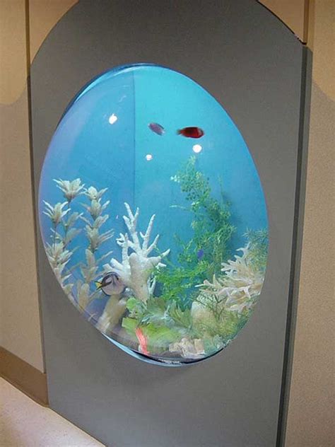 Bubble aquarium fish