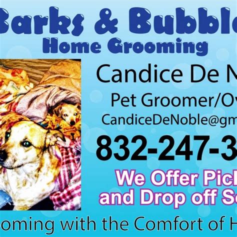 Bubbles Pet Grooming and Boarding