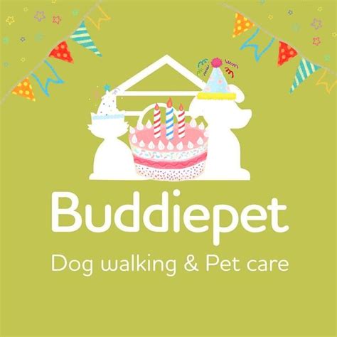 Buddiepet - Dog walker Southampton