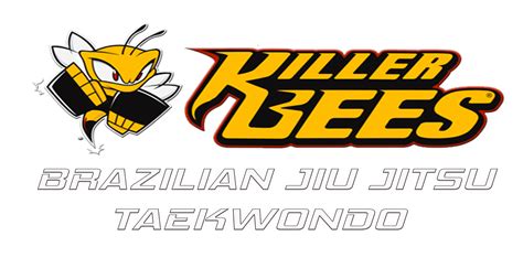 Budding Bees Taekwondo centre