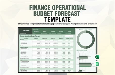 Budget And Forecast Template