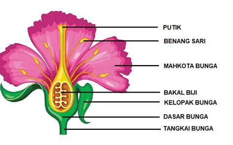 Bunga Sempurna