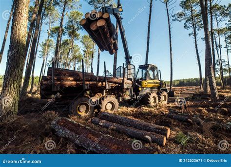Bush Logging