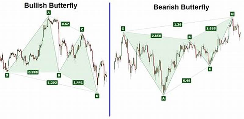 Butterfly Chart Pattern
