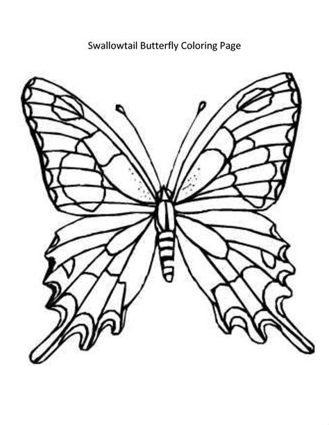 Butterfly Drawing Template