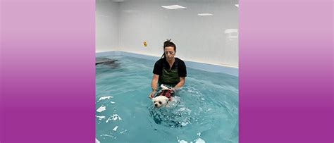 C S Animal Hydro and Physiotherapy