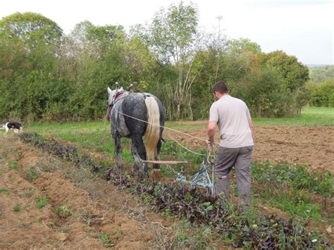 C Trait Bio à Brillac
