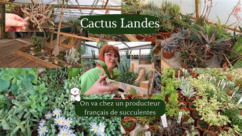 CACTUS LANDES à Villandraut