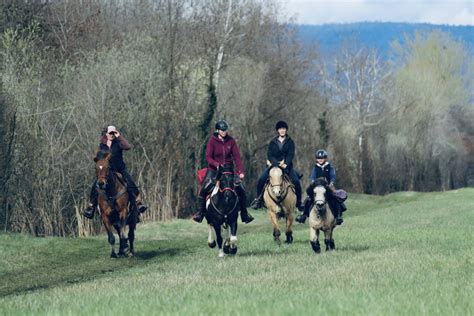 CAVAL ISERE à Grenay