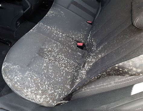 CB NETTOYAGE à Ajaccio