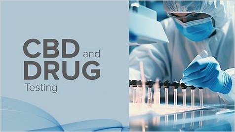 CBD Gummies Show Up on Drug Test: A Comprehensive Guide to CBD and Drug Testing