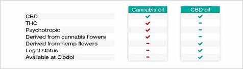 CBD Gummies Versus CBD Oil: A Comprehensive Comparison
