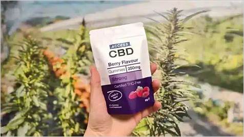 CBD Gummies to Replace Alcohol: A Comprehensive Guide to a Healthier Alternative