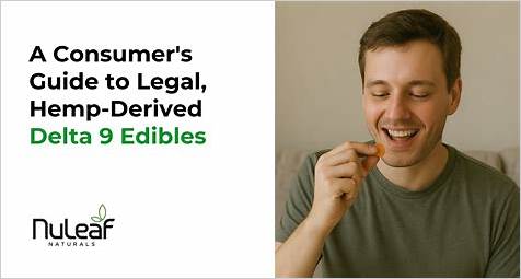 CBD THC Gummies Legal: A Comprehensive Guide to the Legality and Benefits of Hemp-Based Edibles