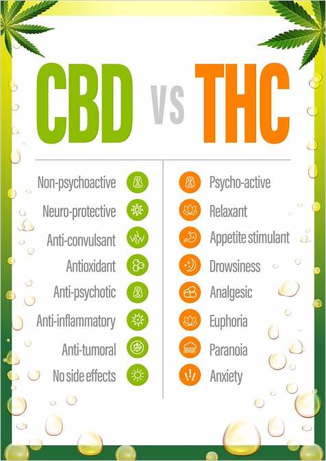 CBD and THC Gummies vs THC Gummies: A Comprehensive Comparison of Effects and Benefits