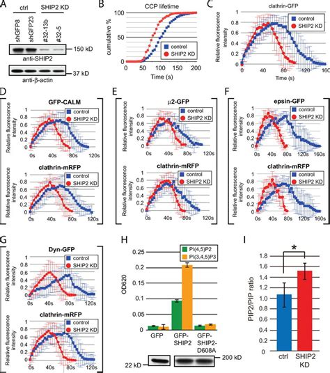 CCP dynamics à Noisy-Rudignon