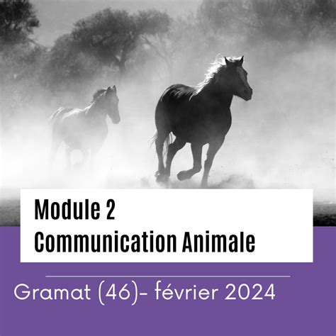 CFC-ComAnimale Formations en Communication Animale - 46 à Issendolus