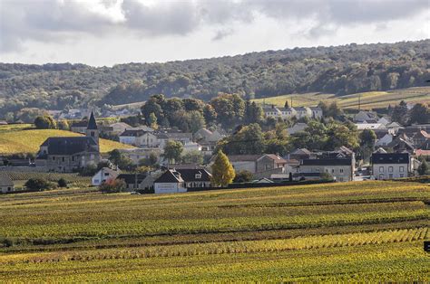 CHIGNY-LES-ROSES à Chigny-les-Roses