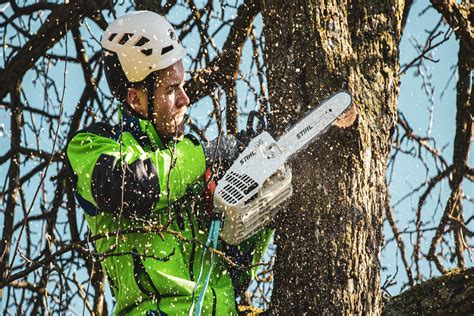 CJ Jones Tree Surgeon Pros - Surrey Arborists