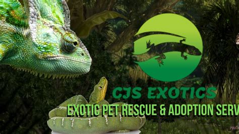 CJS Exotics Rescue