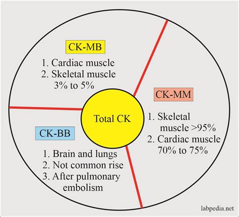 CK Distribution à Serris