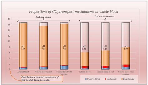 CO2 in Blood