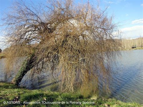 CONCEPT PEINTURE 81 à Damiatte