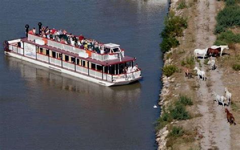 CROISIERE CAMARGUE à Aigues-Mortes