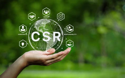 CSR & Sons