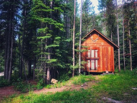 Cabane chasse à Buncey