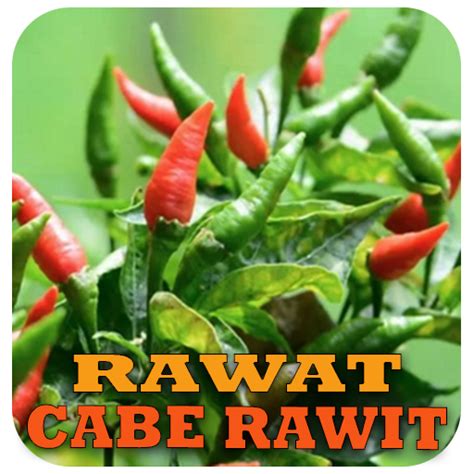 Cabe Rawit App Disadvantages