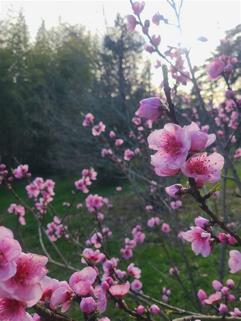 Cablanc l'écolieu à Saussignac