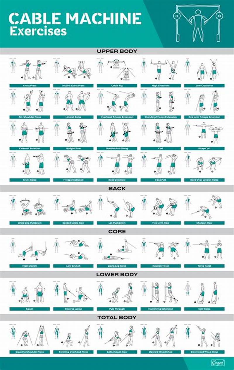 Cable Machine Exercises Chart
