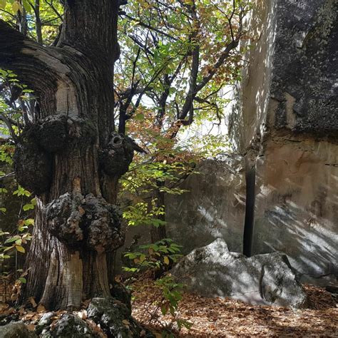 Cache Cache à Falaise